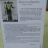 Mujeres Golpeadas Y Otros Relatos, Sergio Gioacchini
