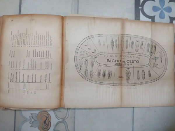 Zoología Agrícola - Cesar O. López Y Roberto E. Gieschen