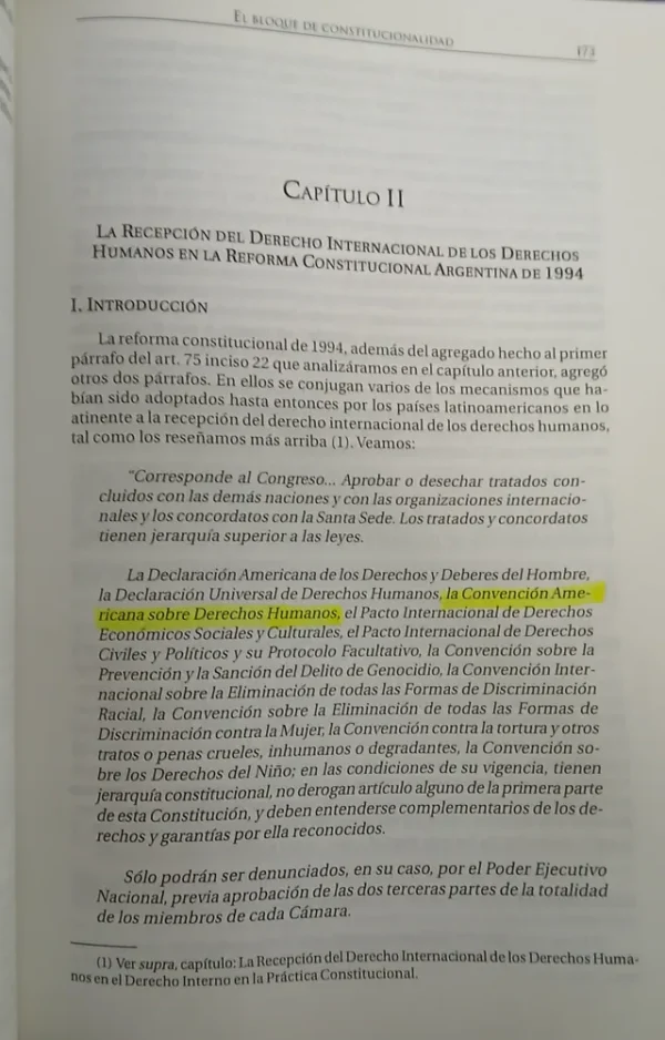 El Bloque De Constitucionalidad, Manili, Pablo Luis
