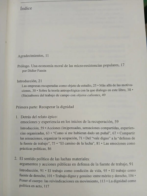 La Política Afectada - María Inés Fernández Alvarez