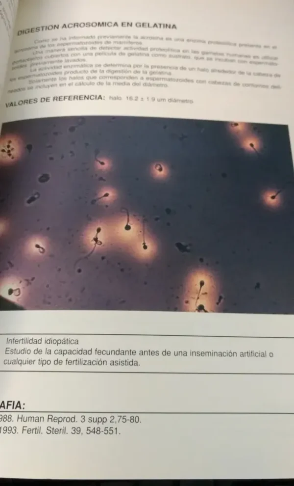 Manual Prácticas De Laboratorio Reproducción Humana Calamera