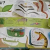 Yo Me Pregunto... Los Animales - Usborne - Mentes Curiosas