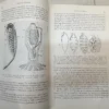 Zoología Agrícola - Juan E. Wille T.