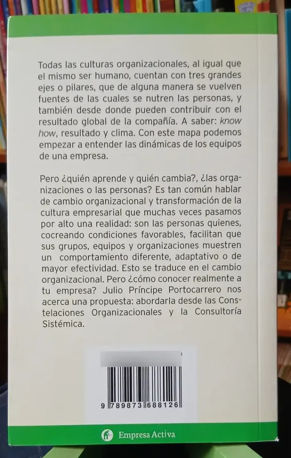 Constelaciones Organizacionales - J. Príncipe Portocarrero