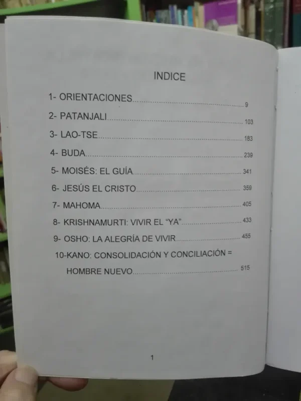 Los 9 Senderos (do) De La Meditación Plena - Teodoro Amici