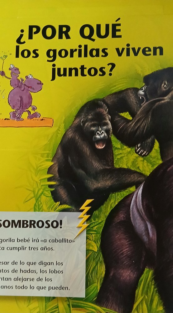 931083-MLA105582672070_012026 Donde Viven Los Animales - Teresita Valdettaro Dirección