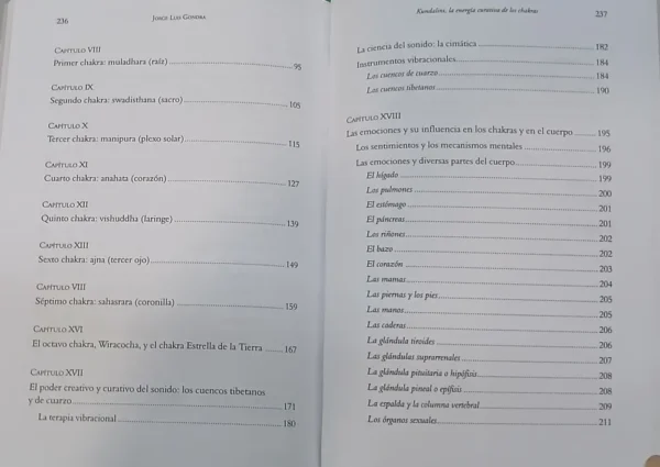 Kundalini - La Energía De Los Chakras -  Jorge L. Gondra