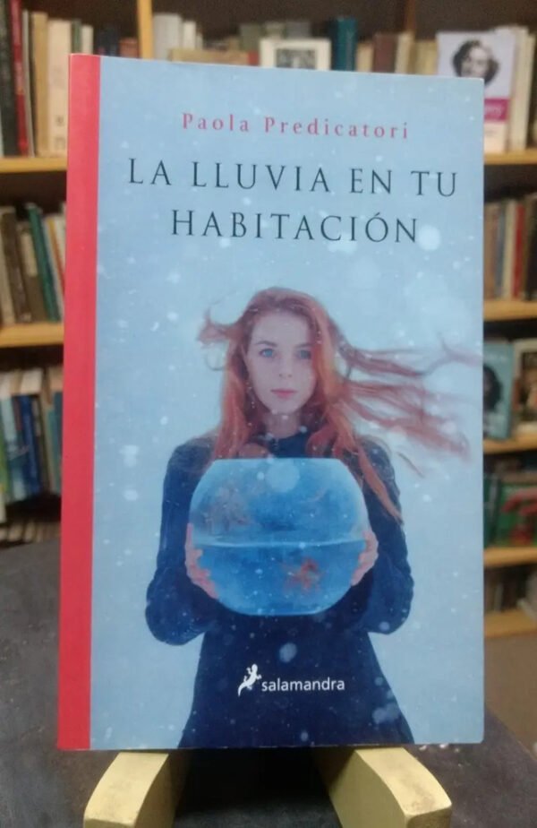 946204-MLA54907185299_042023 La Lluvia En Tu Habitación - Paola Predicatori