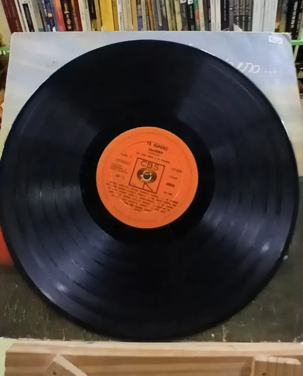 Sandro Vinilo Te Espero Lp Estándar