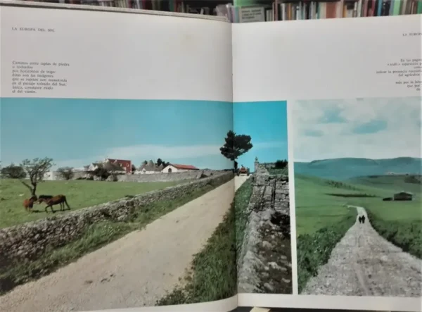 Fincas De Europa - Instituto Geografico De Agostini - Fiat