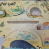 Yo Me Pregunto... Los Animales - Usborne - Mentes Curiosas