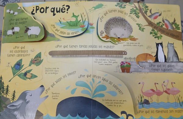 Yo Me Pregunto... Los Animales - Usborne - Mentes Curiosas