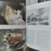 953757-MLA69345795077_052023 El Gran Libro Del Husky Siberiano - Jessica Vallerino