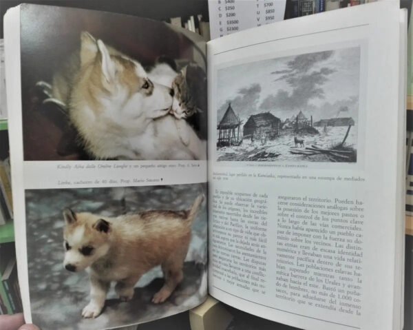 953757-MLA69345795077_052023 El Gran Libro Del Husky Siberiano - Jessica Vallerino
