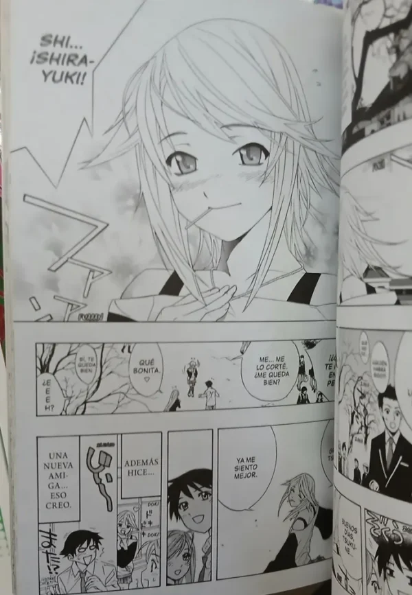 964124-MLA86844625017_062025 Rosario + Vampire - Akihisa Ikeda (lote 10 Números)