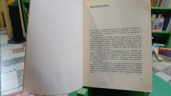 Sociedad De Locos Violencia En Psiquiátrico - Wilbur Grimson