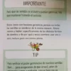 965624-MLA105584064448_012026 Quiero Más Verde - Tener Tu Huerta - Felipe Castro