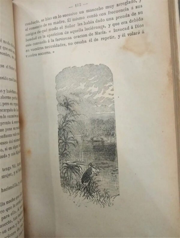 Cuentos De Schmid - Garnier Hermanos, Edición Ilustrada