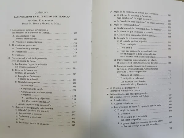 Tratado De Decho Del Trabajo Tomo I - M. Ackerman, D. Tosca