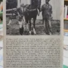 El Campo, El Pueblo, El Yermo - William Faulkner