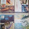 Reino Animal Para Niños - Lote 17 Números - 1969
