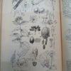 970281-MLA81998905471_012025 Manual Of Cultivated Plants - Bailey