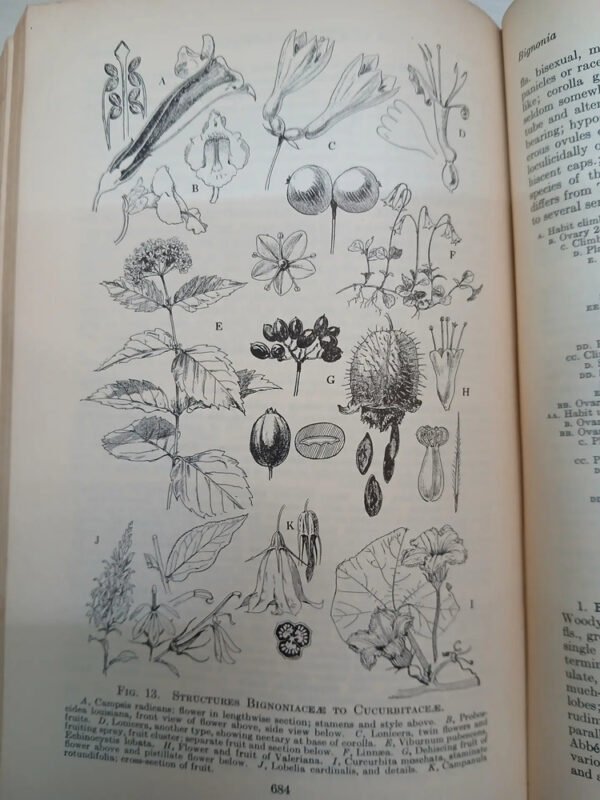 970281-MLA81998905471_012025 Manual Of Cultivated Plants - Bailey