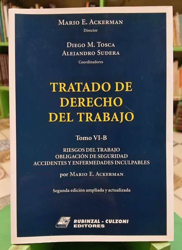 Tratado De Decho Del Trabajo Vi-a Vi-b M. Ackerman, D. Tosca
