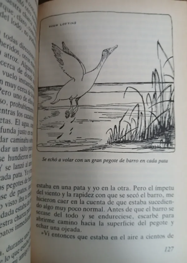 El Jardín Del Doctor Dolittle - Hugh Lofting