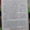 As Vaias Abertas Da América Latina - Eduardo Galeano