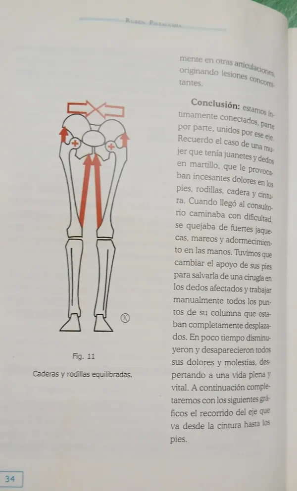 Descubra El Poder De Su Columna - Rubén Pistacchia