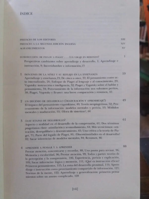 980305-MLA32803083979_112019 Cómo Piensan Y Aprenden Los Niños - David Wood-