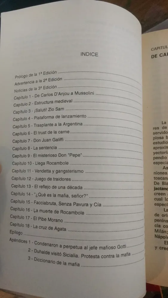 La Mafia En Argentina - Héctor Nicolás Zinni