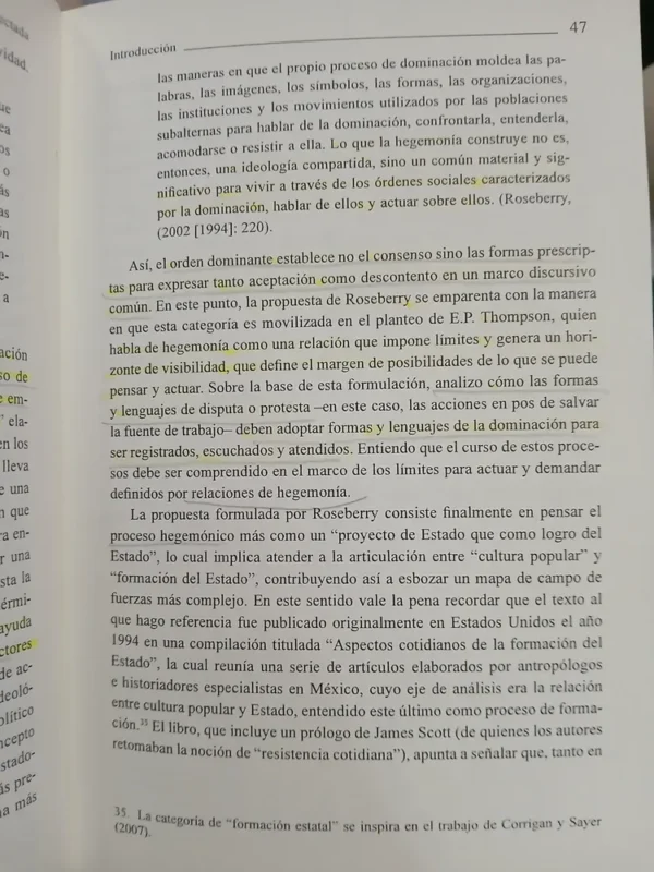 La Política Afectada - María Inés Fernández Alvarez
