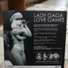 993936-MLA82252062555_022025 Lady Gaga Love Games James Mccarthy Libro Y 4 Dvd. En Inglés