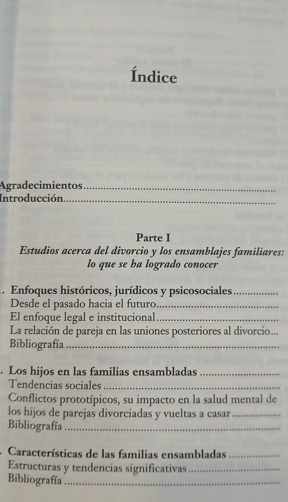 Recomenzar: Amor Y Poder Después Del Divorcio - Irene Meler