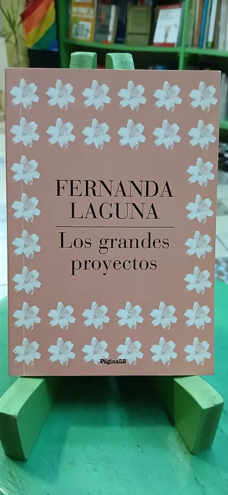 997043-MLA106742197011_022026 Fernanda Laguna - Los Grandes Proyectos - Página 12