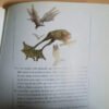 817567-MLA27172984870_042018 ¡qué Animales! - Ema Wolf