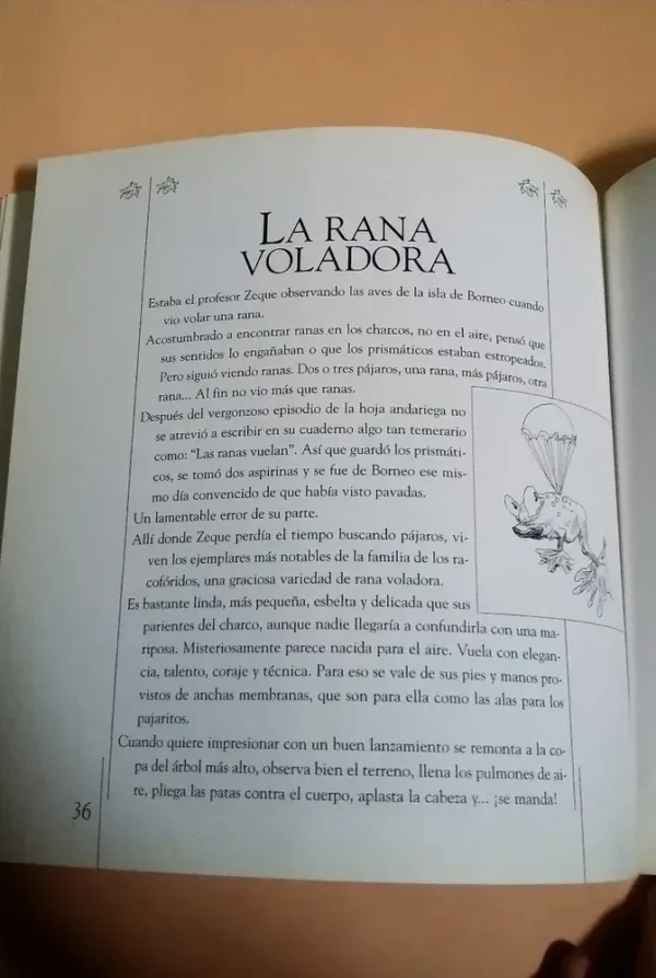 820993-MLA27172973427_042018 ¡qué Animales! - Ema Wolf