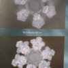 603830-MLA111864426053_052026 La Vida Secreta Del Agua - Masaru Emoto