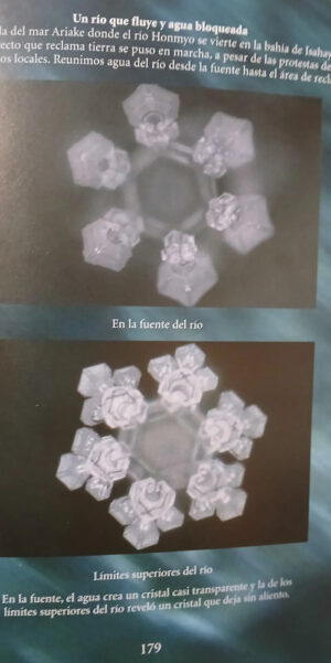603830-MLA111864426053_052026 La Vida Secreta Del Agua - Masaru Emoto
