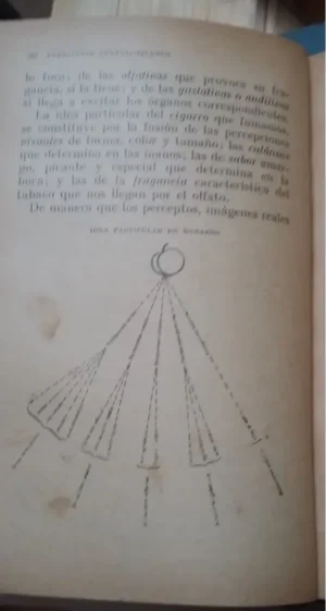 610894-MLA28621358446_112018 Interpretación, Alcances De Los Principios Pestalozzianos