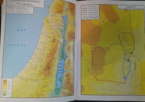 611200-MLA91747061738_092025 Nueva Biblia De Jerusalén - Revisada Y Aumentada - Desclée