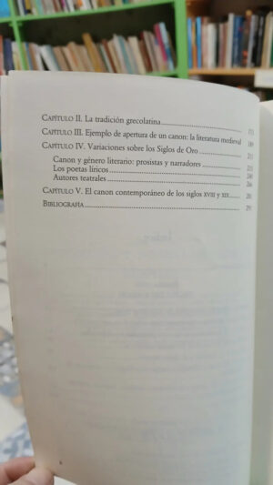 612344-MLA87710529152_072025 Teoría Del Canon Y Literatura Española José Pozuelo Yvancos
