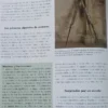 616036-MLA109635042902_042026 Francmasones - La Sociedad Secreta - Marco Carini Y Otros