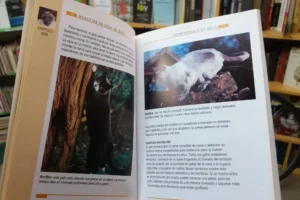 Mi Gato. Guía Para El Cuidado Del Gato - Ángela Gair -