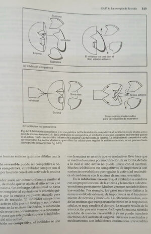 Biología  - 3era. Ed. - Solomon Berg - Martin Villee
