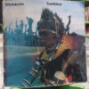 Witchdoctor - Toordokter - The Museum Of Man And Science