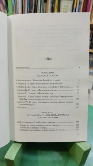 635882-MLA87710291510_072025 Teoría Del Canon Y Literatura Española José Pozuelo Yvancos