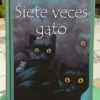 Siete Veces Gato - Domenica Luciani